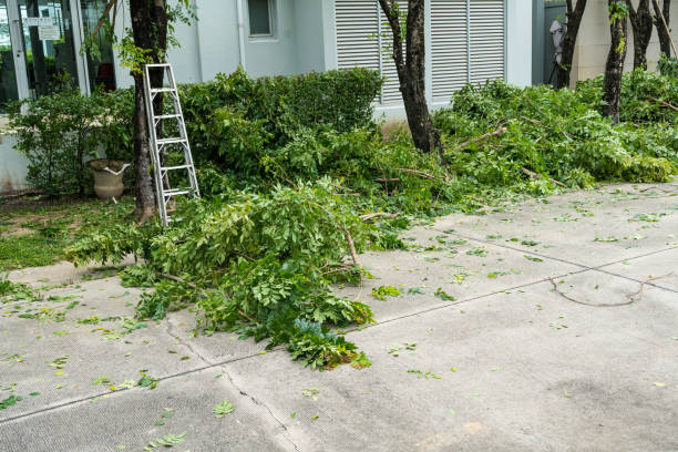 Best Storm Damage Tree Cleanup  in Altamont, NY